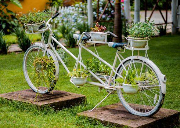 Landscaping the front of the property, such as grass, trees, and other foliage, should serve as the foundation for curb appeal at your property.