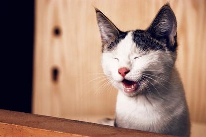 11 Funniest Airbnb Mishaps