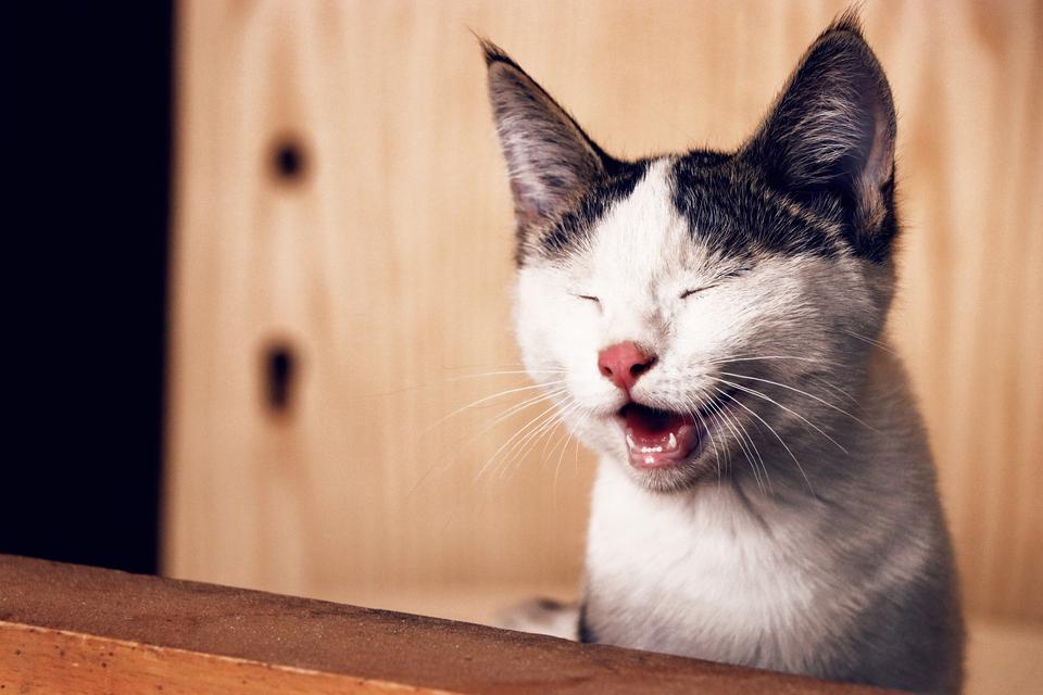 11 Funniest Airbnb Mishaps