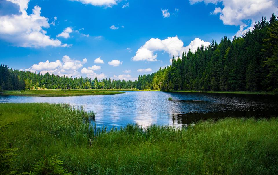Guide to Buying a Lakeside Property for Vacation Rentals 
