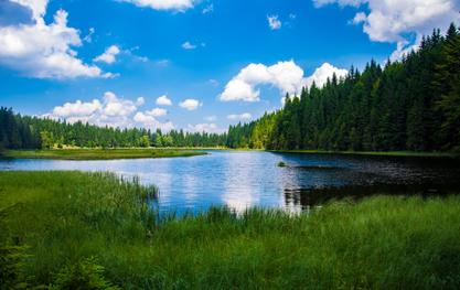 Guide to Buying a Lakeside Property for Vacation Rentals 
