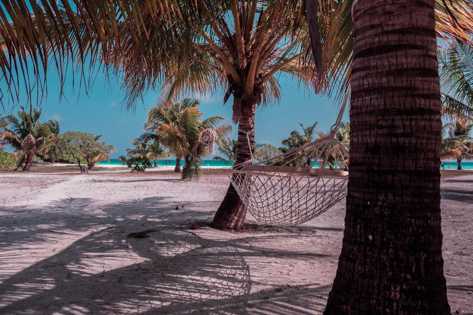 How to Increase Visibility and Get More Bookings | Multichannel Distribution for Vacation Rental Managers