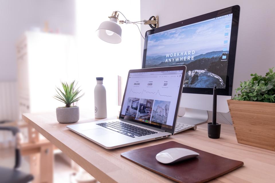 Best Vacation Rental Software 2023
