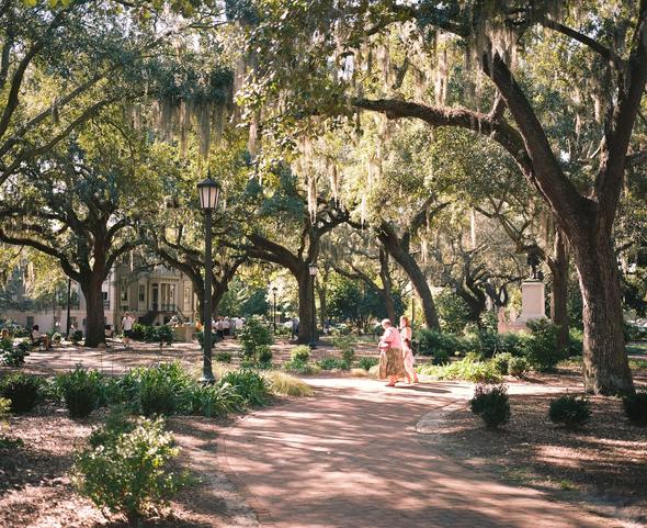 Scenic park in Savannah, Georgia, featuring moss-draped oak trees, a brick pathway and a tranquil atmosphere.
