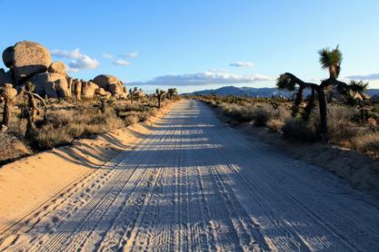 Airbnb Rental Arbitrage in Joshua Tree | What You Need to Know