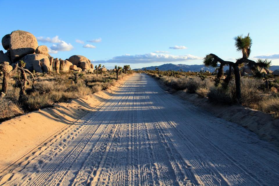 Airbnb Rental Arbitrage in Joshua Tree | What You Need to Know